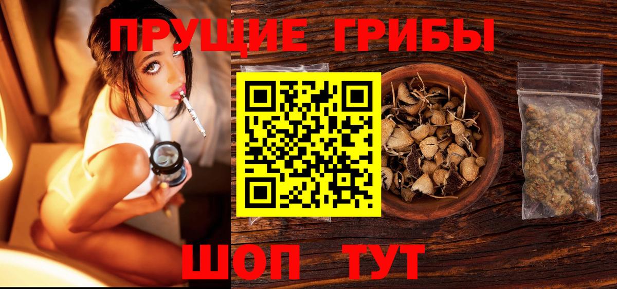 Псилоцибиновые грибы мухоморы Моршанск