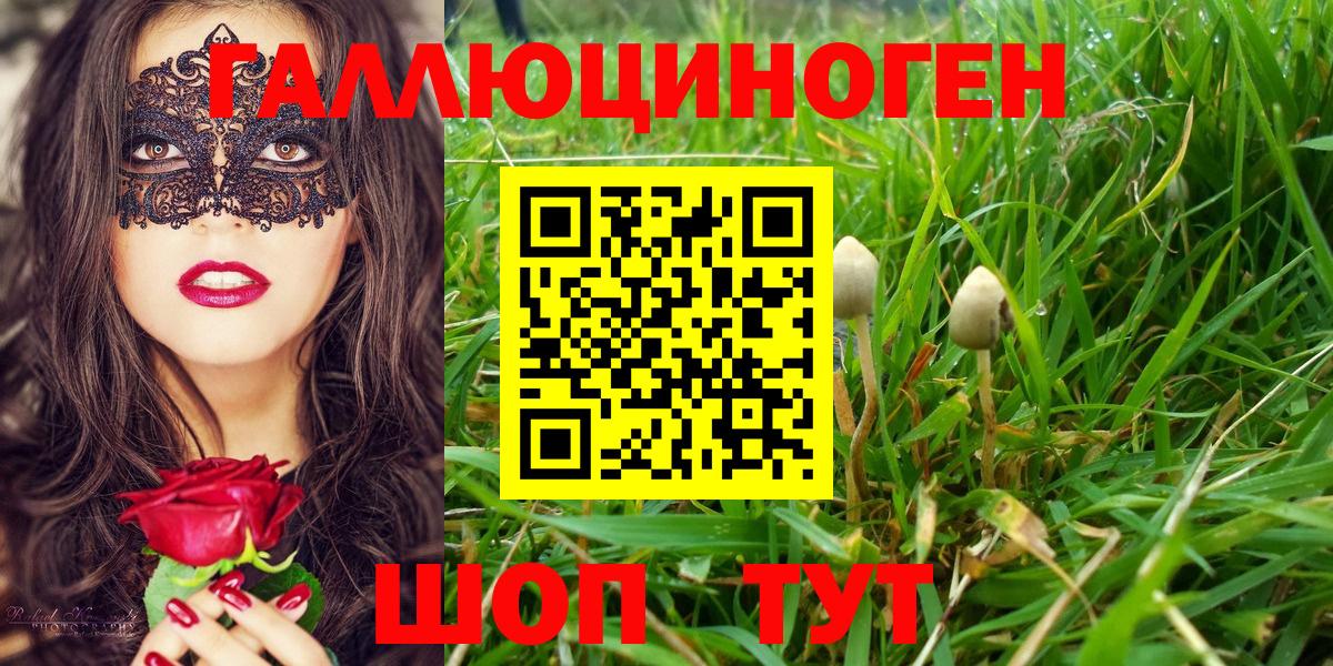 наркошоп  Вход с VPN  Моршанск  Галлюциногенные грибы Psilocybine cubensis 